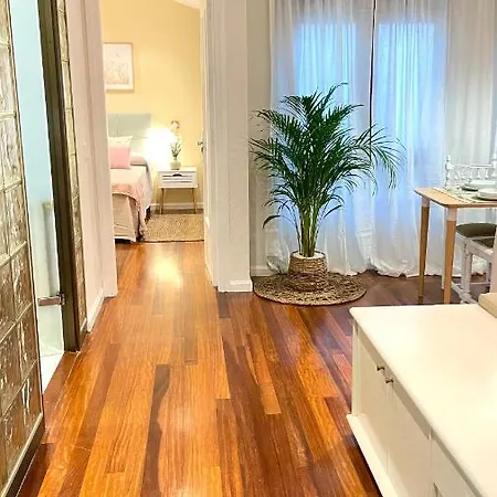 Auditorio Parking Gratuito Www Venaoviedo Es * اوفيدو